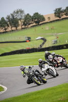 Middle Group Silver_Grey Bikes